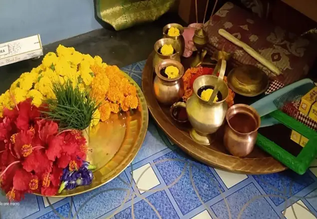 Blessings ceremony — Vedic pooja for peace and prosperity